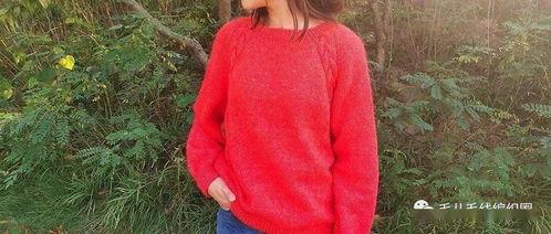 成人毛衣教程新手视频,新手必看！跟随视频教程轻松学会编织成人毛衣